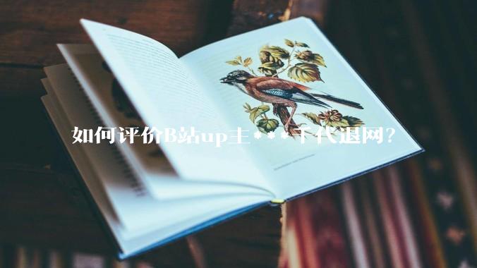 如何评价B站up主***千代退网？