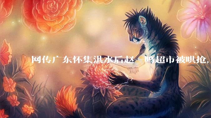 网传广东怀集洪水后赵一鸣超市被哄抢，县***回应相关单位正在核实，若属实哄抢者该承担哪些法律责任？