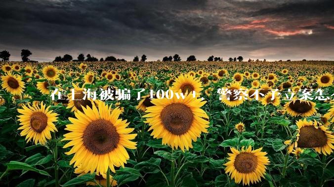 在上海被骗了100w+，警察不予立案怎么办？